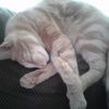 boo20070120
